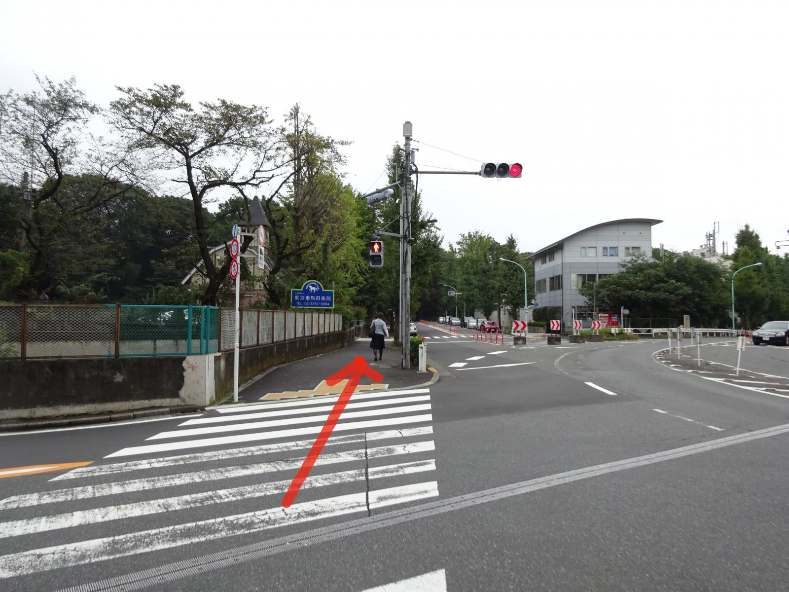 クリックで画像を拡大表示します