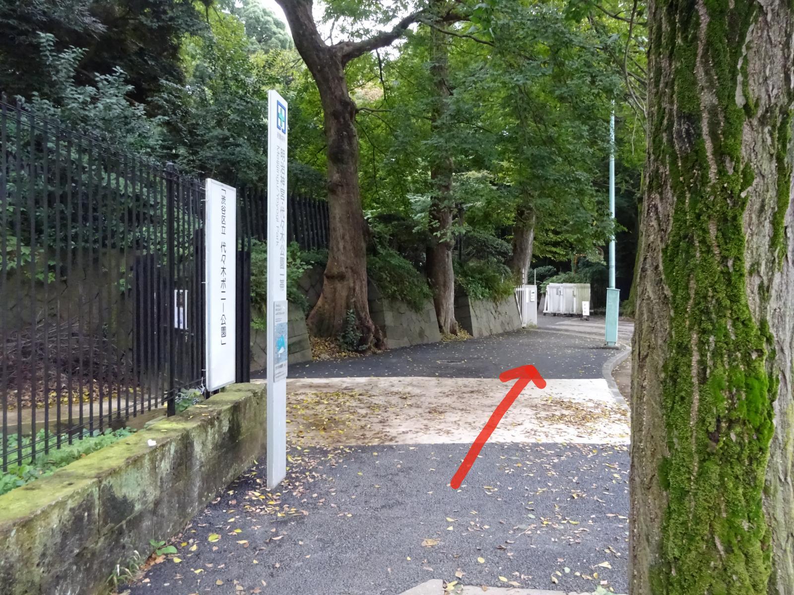 クリックで画像を拡大表示します