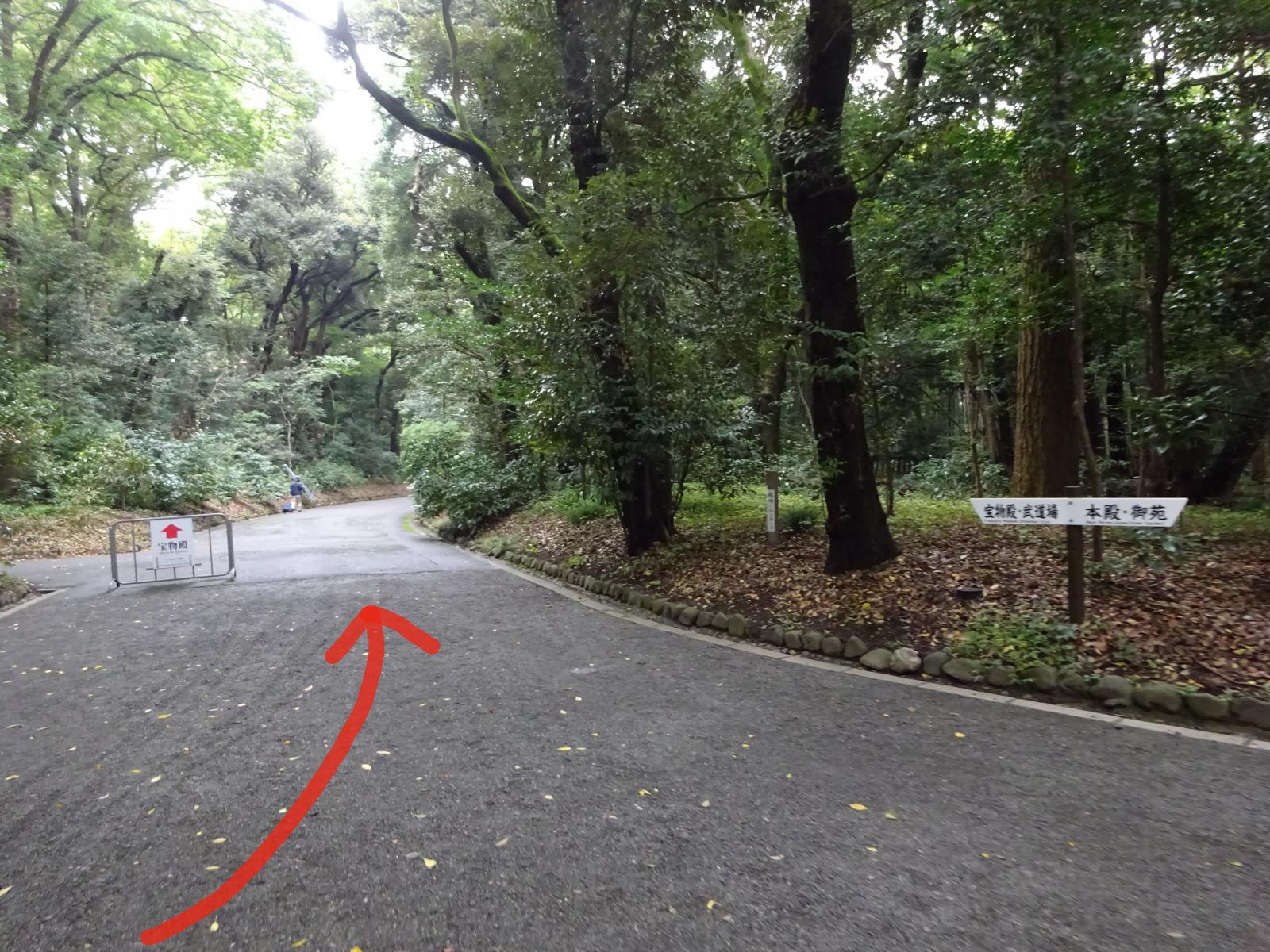 クリックで画像を拡大表示します