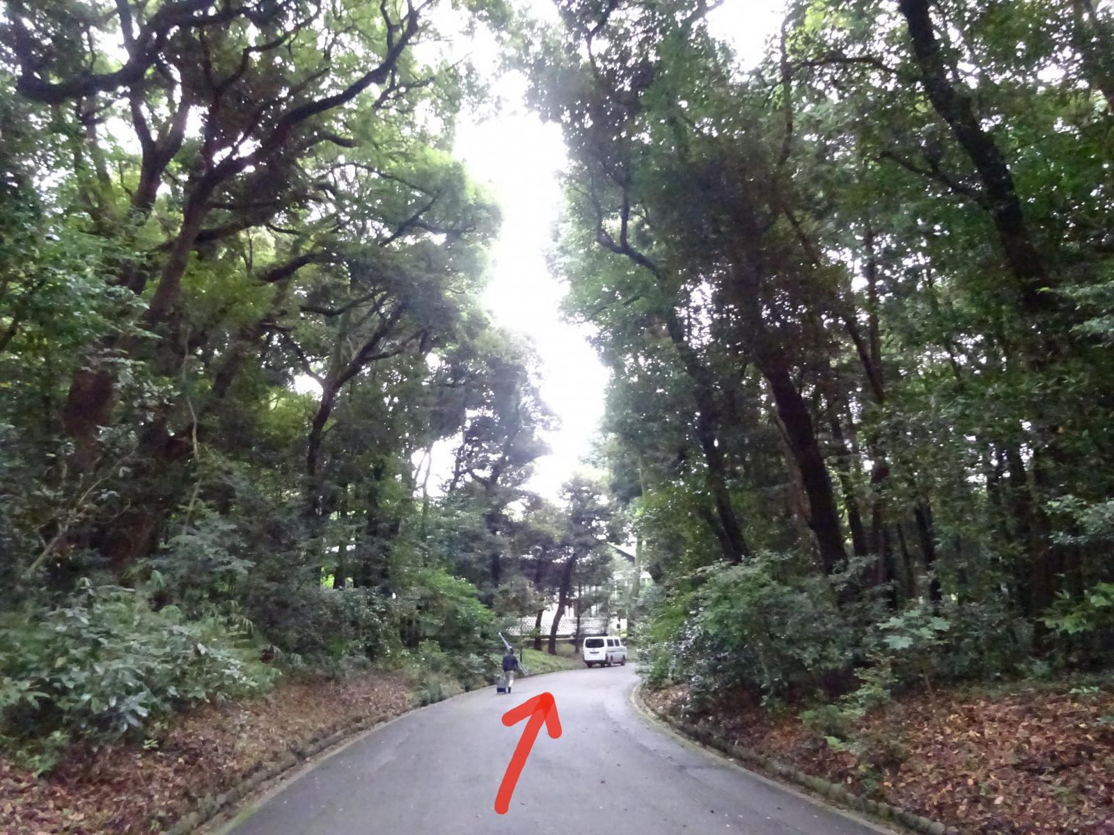 クリックで画像を拡大表示します