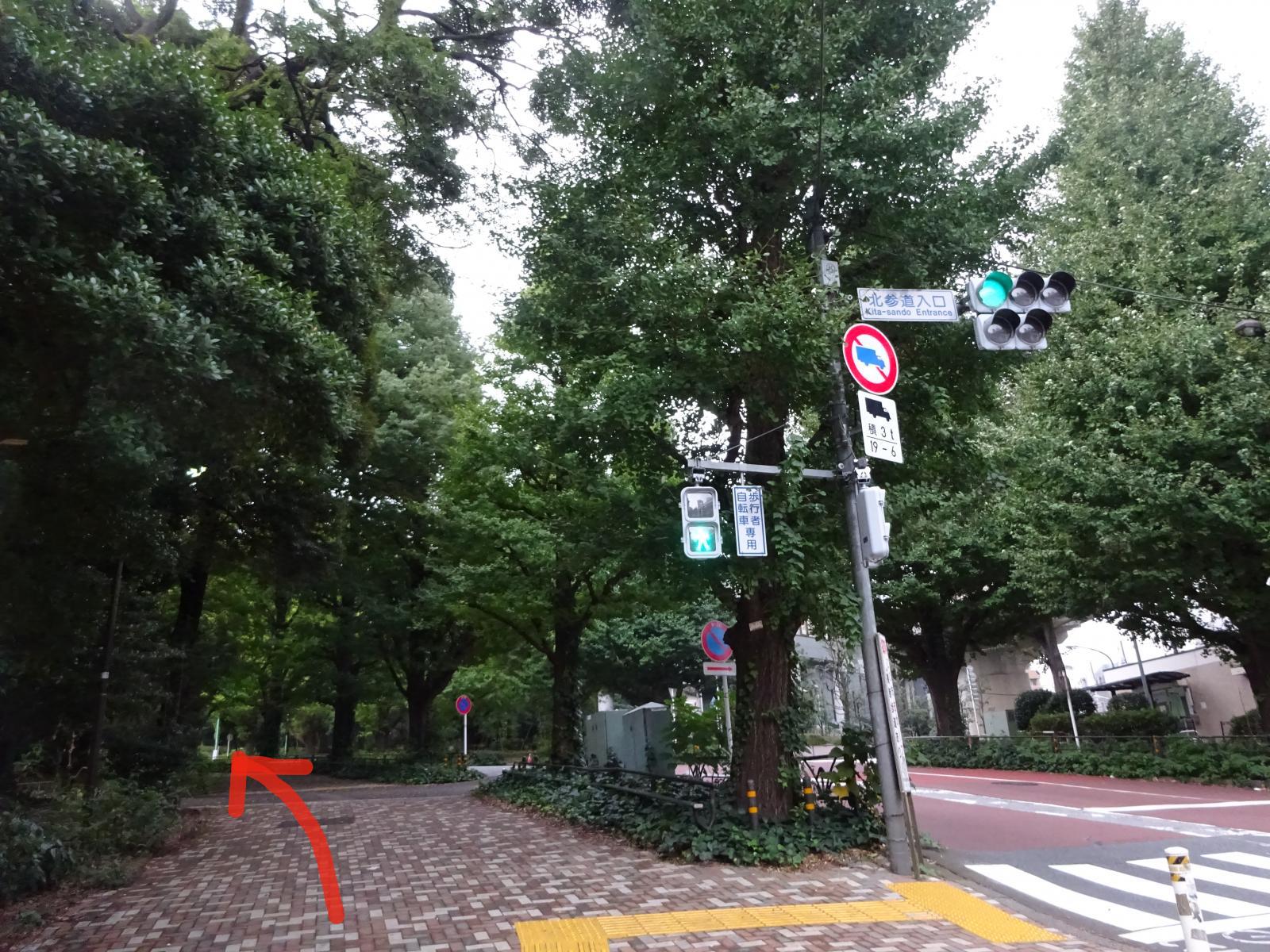 コンテンツ画像